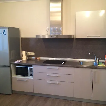 One-bedroom Flat On Pritytskogo Street *